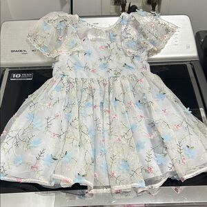 Girls 3T tulle lined crinoline frilly fancy dainty lace flower fairy dress